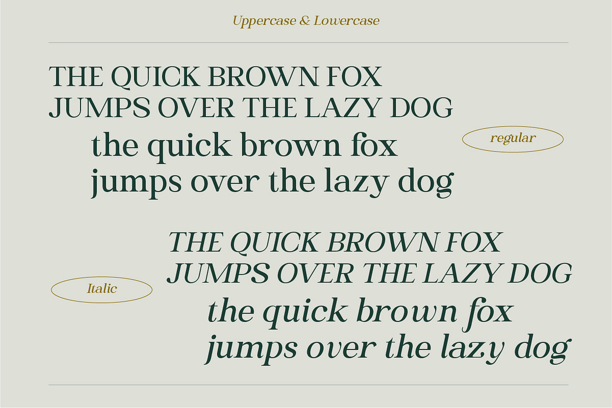 Heading South | Retro serif, a Serif Font by ClevUs (Photo 11 of 14)