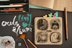 Tiny Owls Album, an Animal Illustration by Mazheika Store