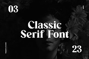 Retrosome Retro Serif Display Font, a Serif Font by UICreative (Thumbnail 9 of 13)