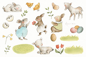 Spring Animals