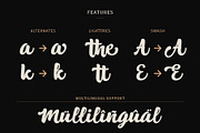 Alaska, a Script Font by ShowUp! Studio (Thumbnail 3 of 11)
