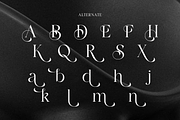 Flamicia - Luxury Modern Editorial, a Serif Font by Qweera Studio (Thumbnail 10 of 12)