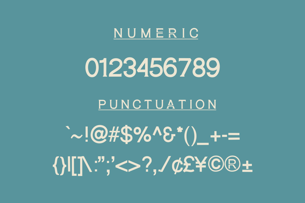 BAVEREEN SERIF, a Script Font by zerologicstudio (Photo 5 of 9)