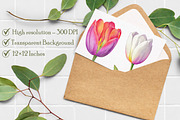 Watercolor Tulip Clipart, an Illustration by Libby Wishes (Thumbnail 6 of 6)