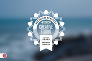 Premium Badge or Logo Designs, a Branding & Logo Template by C-Kav (Thumbnail 7 of 7)