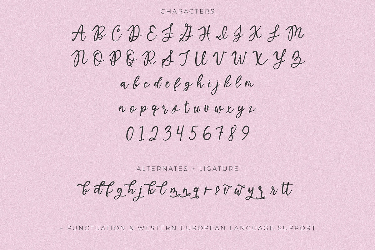 North Avenue Script, a Script Font by Beck McCormick (Photo 10 of 10)