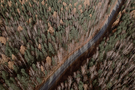 Road between autumn forest in Ural