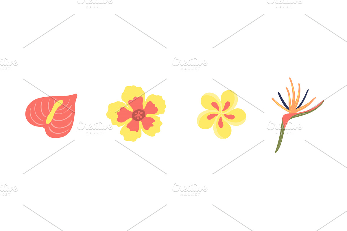 Tropical flower illustration, an Object Illustration by sceptical cactus
