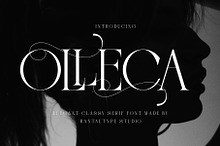 Olleca Elegant Classy Serif Font