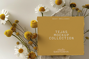 Tejas Mockup Collection, a Mac Mockup by Studio Santosha (Thumbnail 1 of 12)