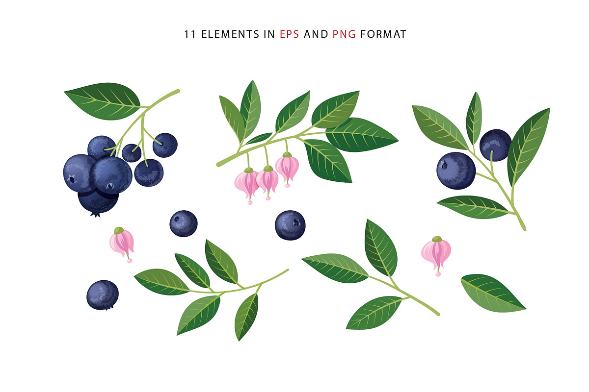 Delicious blueberries. Vector set., a Graphic by natamastery (Photo 2 of 7)