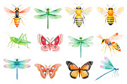 Insects Watercolor Clipart Png, an Illustration by Dream Creation (Thumbnail 2 of 7)