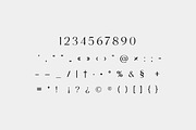Missionary Elegant Serif Family Font, a Serif Font by UICreative (Thumbnail 12 of 13)