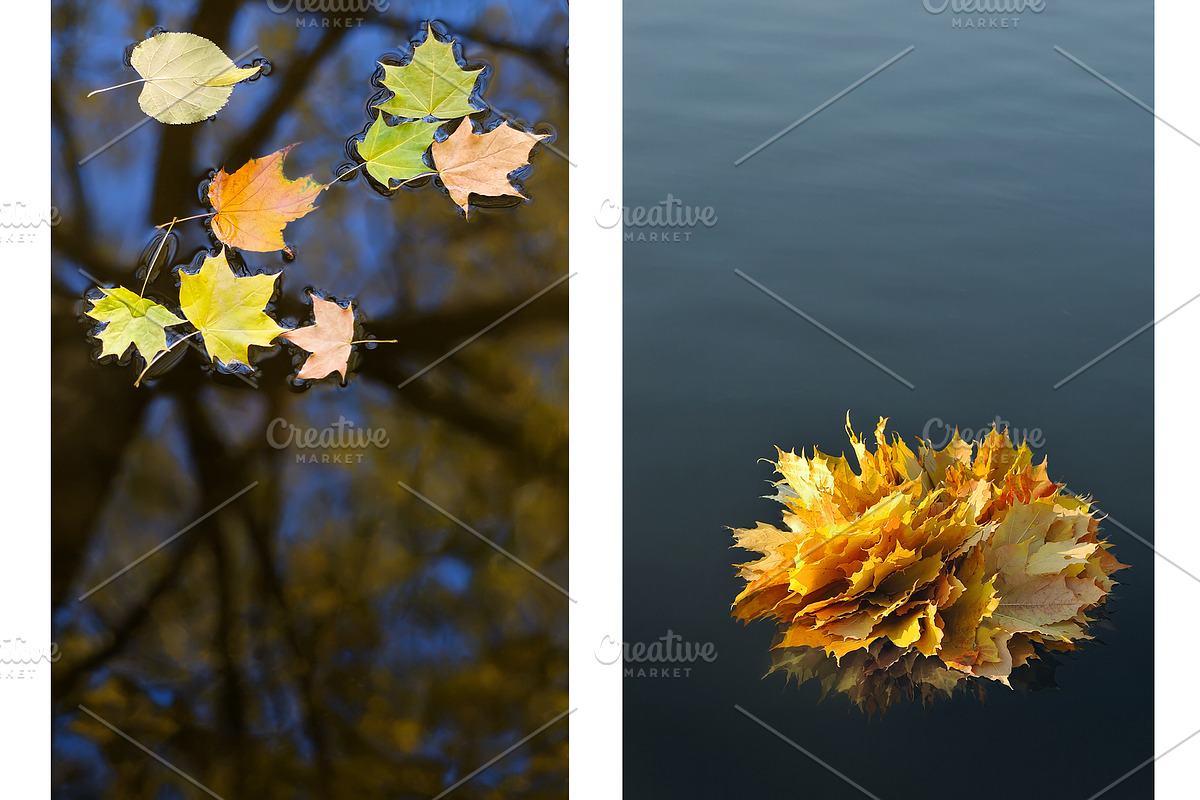 Fall backgrounds featuring colorful, color, and design, a Nature Photo by Fruits+Veggies (Photo 2 of 5)