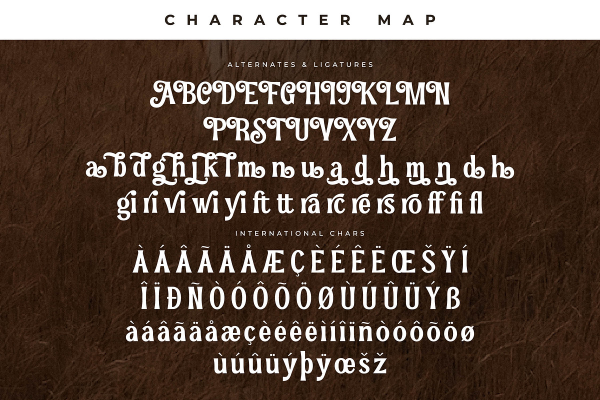 Pearl Hirenha Modern Serif, a Serif Font by Storytype Studio (Photo 14 of 15)