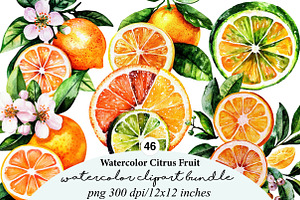46 watercolor-citrus-fruit-clipart, an Illustration by GatewayDesign