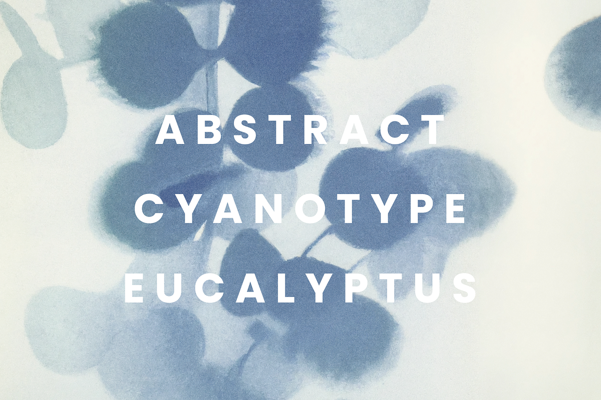 Blue Eucalyptus Cyanotype Textures, a Background Graphic by Take Care Creative (Photo 1 of 6)