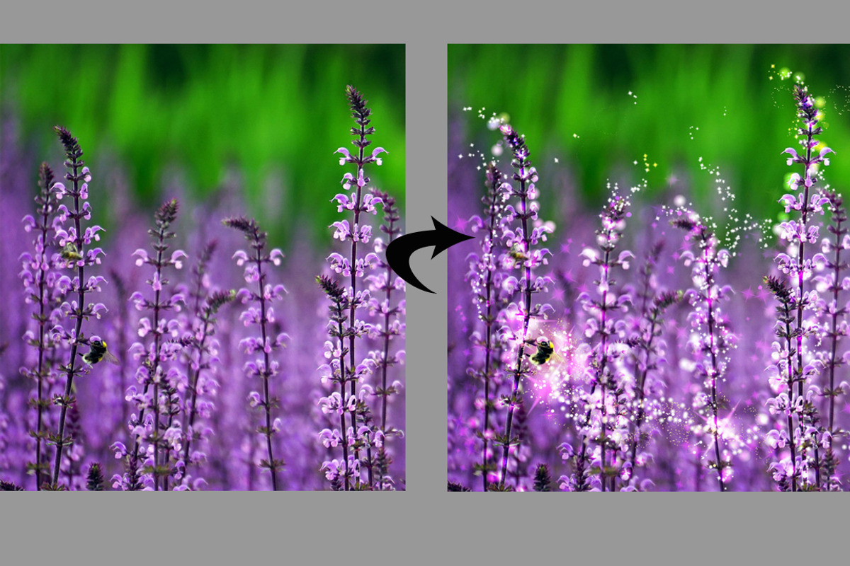 Fairy Dust PHOTOSHOP sparkle brushes, a Brush Add-On by Transfuchsian (Photo 4 of 5)