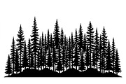 Majestic Pine Trees SVG, a Finance Illustration by Amazin_art (Thumbnail 11 of 34)