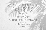 Adelliatte A Handwritten Signature, a Script Font by Allouse Studio (Thumbnail 9 of 10)
