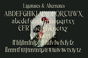 Breasto - Display Serif, a Sans Serif Font by tebaltipislab (Thumbnail 15 of 18)