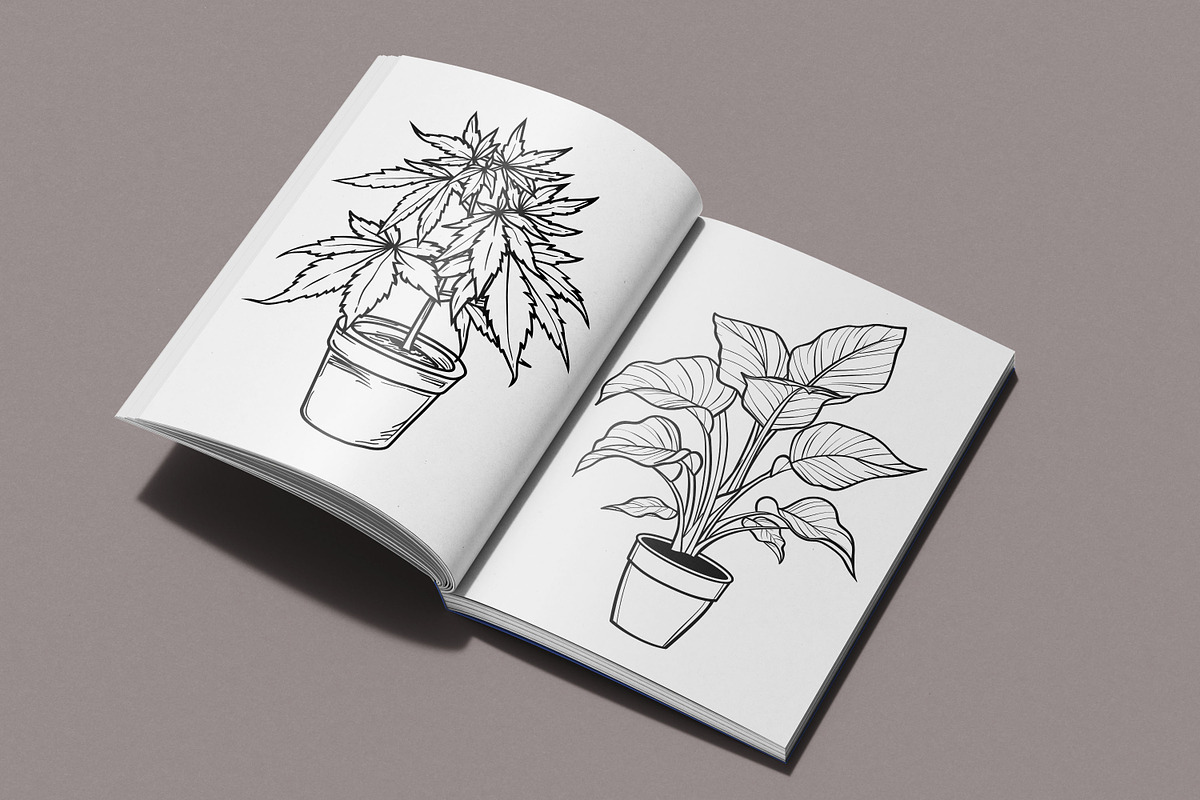 Pot Plant Coloring Page, a Graphic by Forhadx5 (Photo 2 of 6)