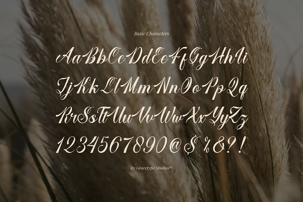 Larfioda | Elegant Script Font, a Script Font by gracetype_studio (Photo 10 of 12)