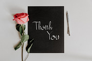 Shabrina - Brush Script Wedding Font, a Script Font by Inventype Studio (Thumbnail 9 of 9)