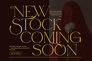 The Harid Elegant Serif Font, a Serif Font by Elegant Font (Thumbnail 2 of 8)