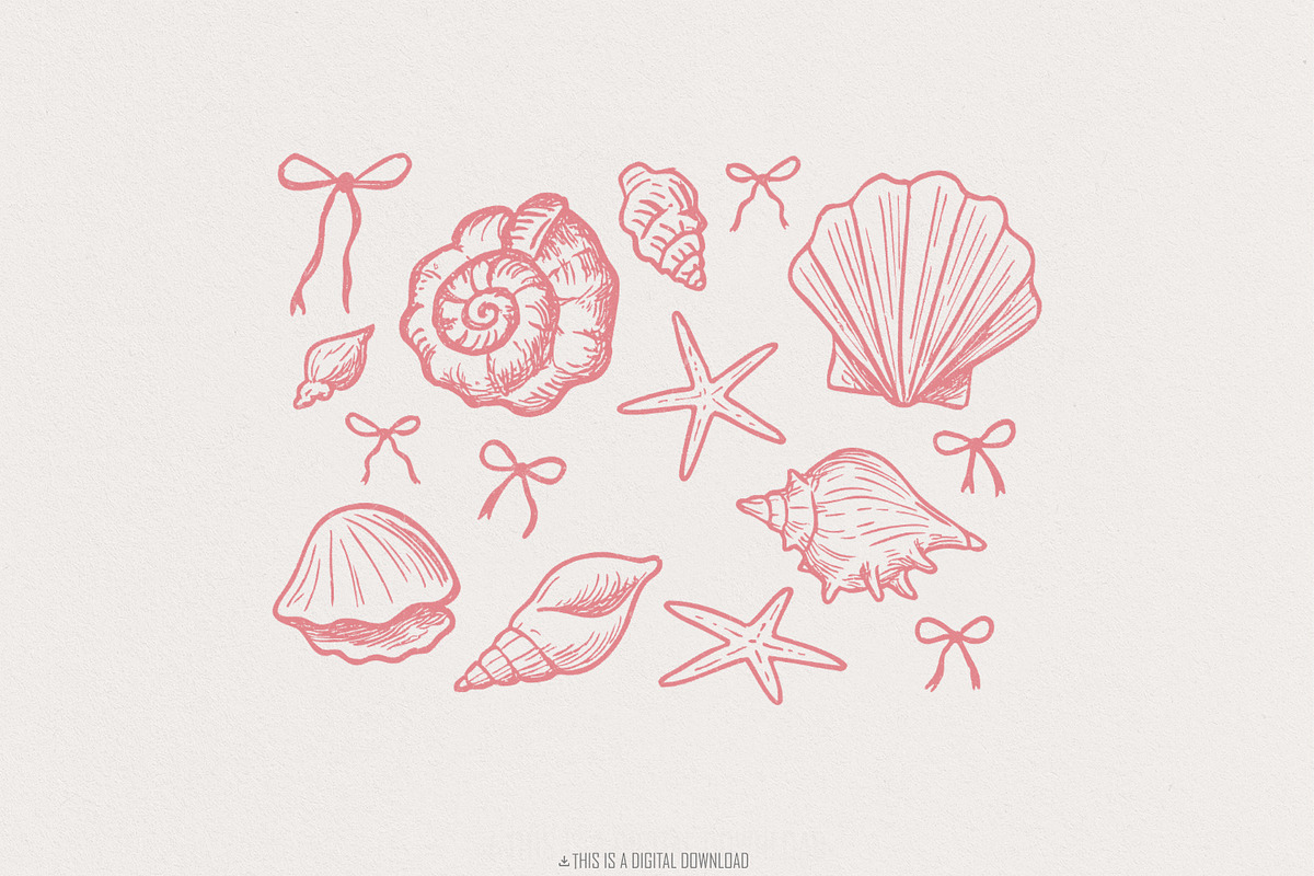 Coquette Seashell PNG, Beach Png, an Illustration by SharpMarketplace (Photo 1 of 9)