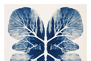 Cybo Collection · Cyanotype Botanics, a Texture Illustration by milatovar (Thumbnail 12 of 19)