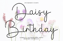 Daisy Birthday
