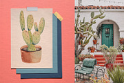 Cacti watercolor collection, an Object Illustration by Skliarova (Thumbnail 5 of 10)