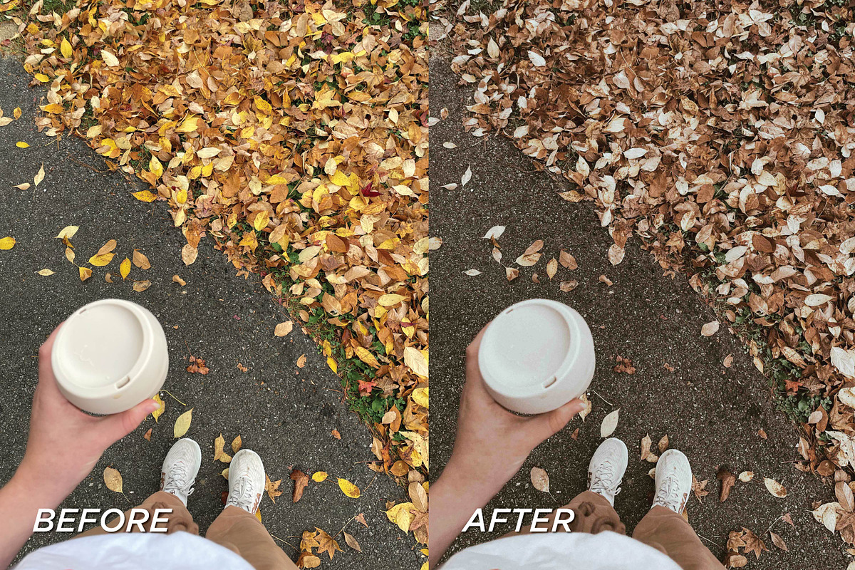 15 Moody Fall Lightroom Presets, a Preset Add-On by TheWayfarerShoppe (Photo 8 of 9)