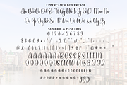 Amsterdam | Script Font, a Handwritten Font by Scratchones (Thumbnail 7 of 8)