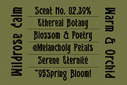 SFC Flosra - Folkcraft Display, a Slab Serif Font by Saera Type (Thumbnail 6 of 12)