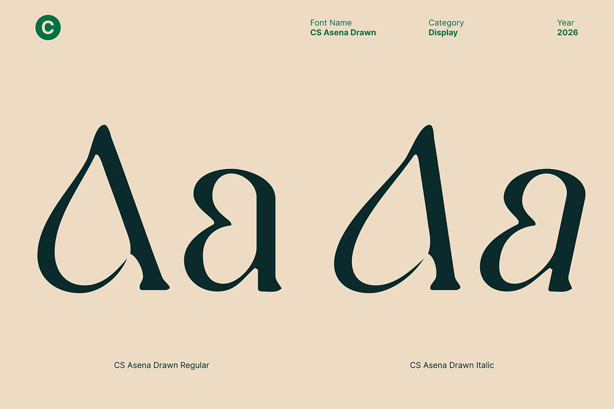 CS Asena Drawn, a Serif Font by Craft Supply Co. (Photo 4 of 8)