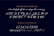 The Signater, a Handwritten Font by typeline studio (Thumbnail 7 of 8)