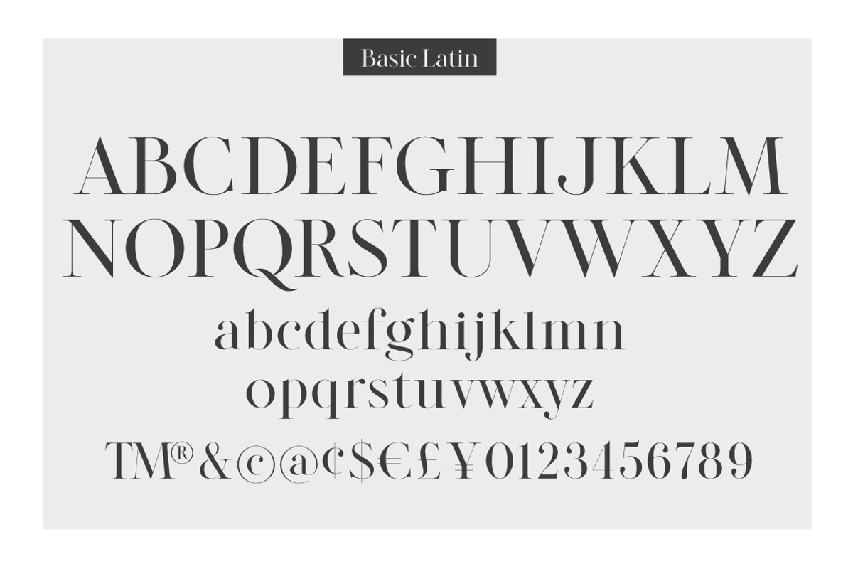 Legatum font family (5 fonts) preview 3