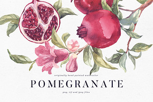 Watercolor pomegranate branch