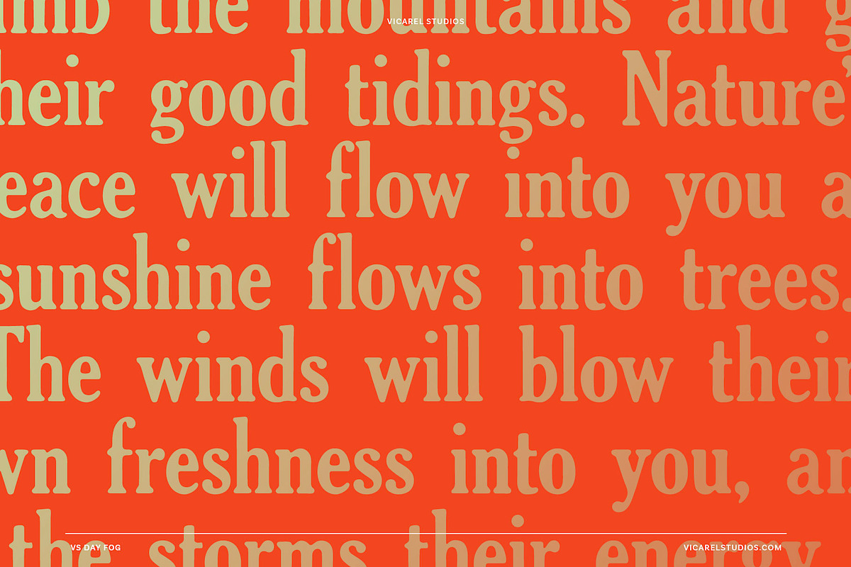 Day Fog – Hand drawn Vintage Serif, a Serif Font by Vicarel Studios (Photo 11 of 12)