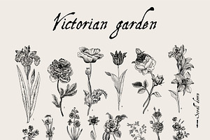 Botany. Victorian Garden. B&W