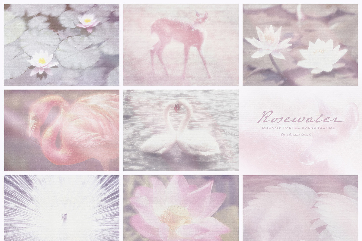Rosewater Dreamy Pastel Backgrounds, a Background Graphic by alonahaidash (Photo 11 of 16)