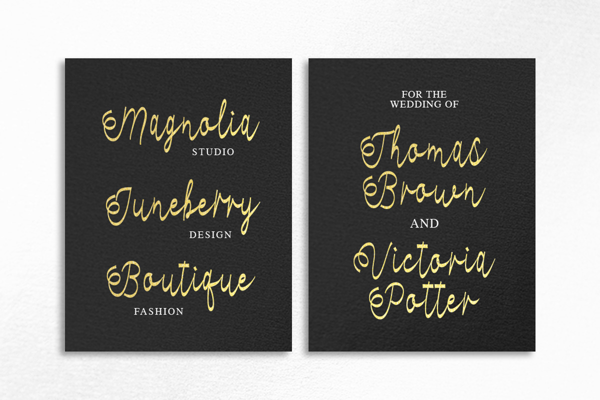 Monlesia Script preview 5