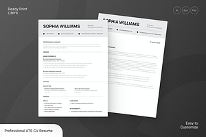 Professional ATS CV Resume