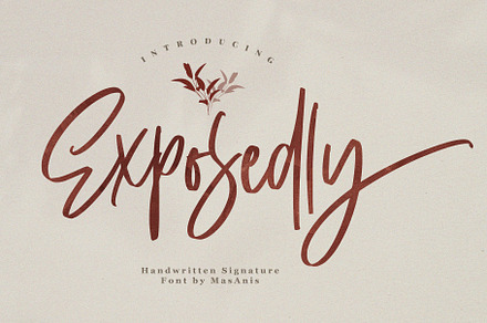 Exposedly - Classy Signature Font, a Script Font by Masanis