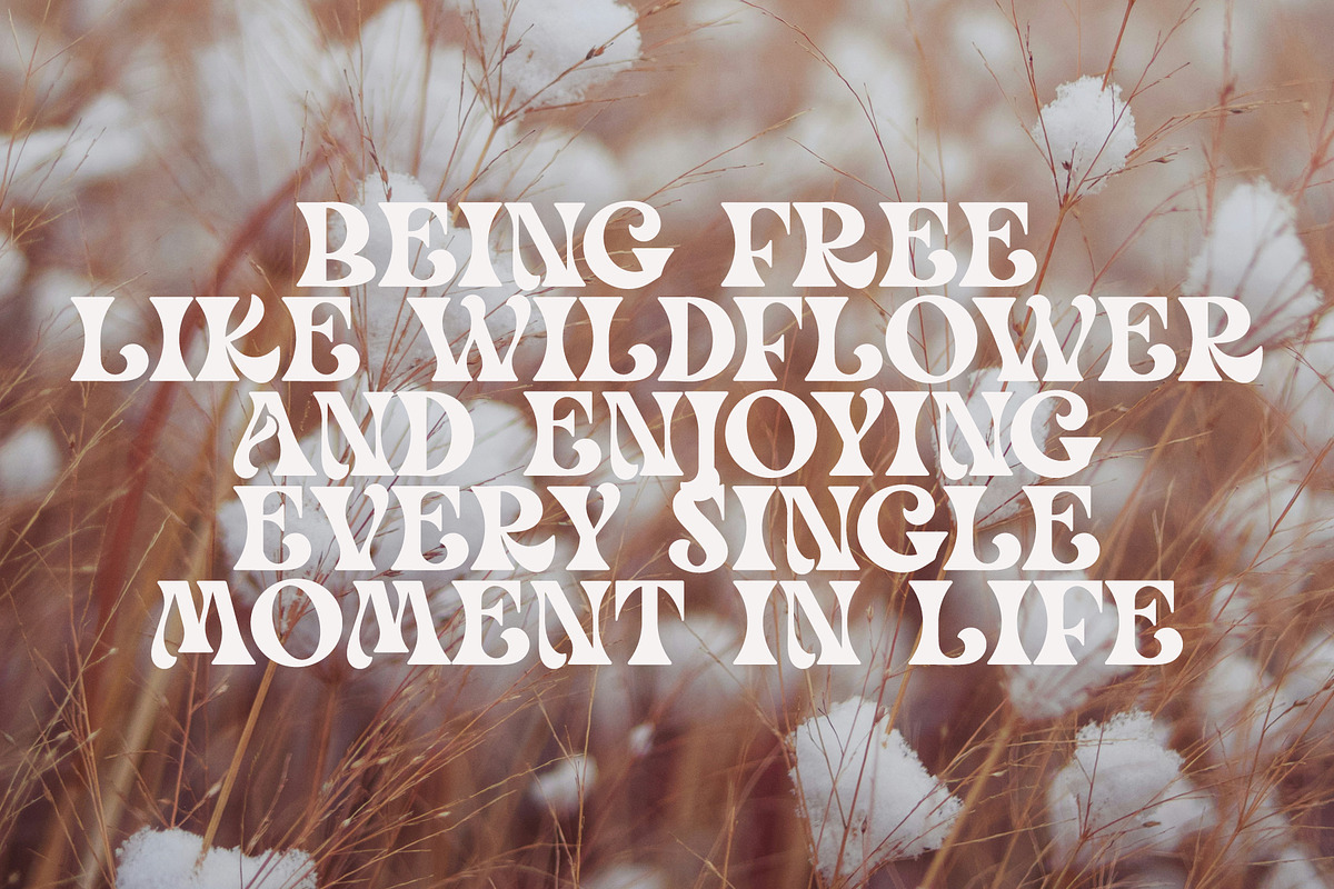 Mayo Age - Modern Vintage Serif Font, a Serif Font by Airotype (Photo 6 of 13)