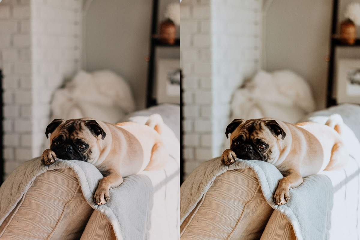 10 BRIGHT & WHITE LIGHTROOM PRESETS, an Action Add-On by Emma Kate Creative (Photo 6 of 10)