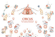 Cute Circus Watercolor Clipart Set, an Animal Illustration by LenArt (Thumbnail 7 of 18)