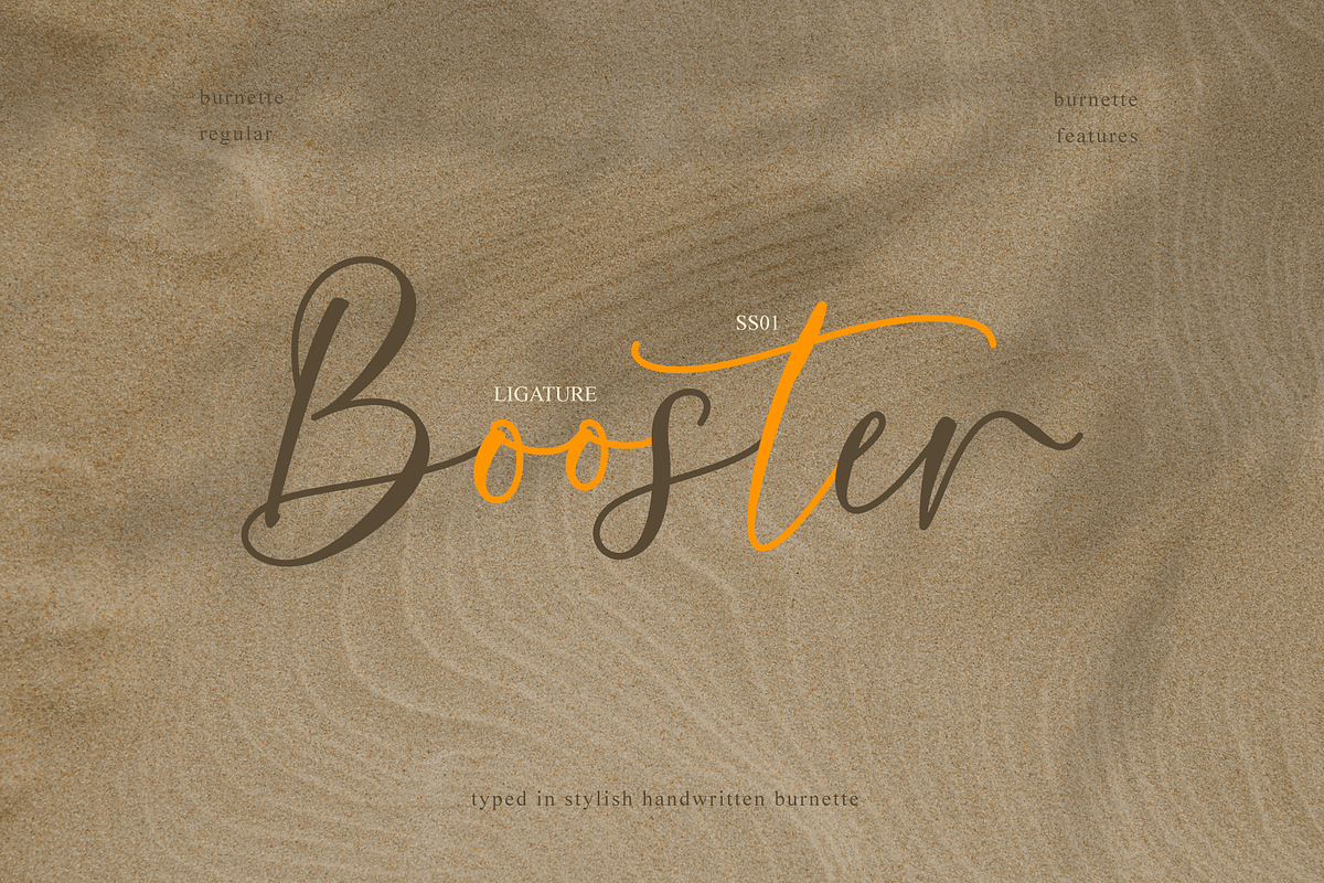 Burnette, a Script Font by RT Studio (Photo 7 of 9)